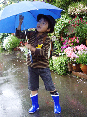 07_k_rain.jpg